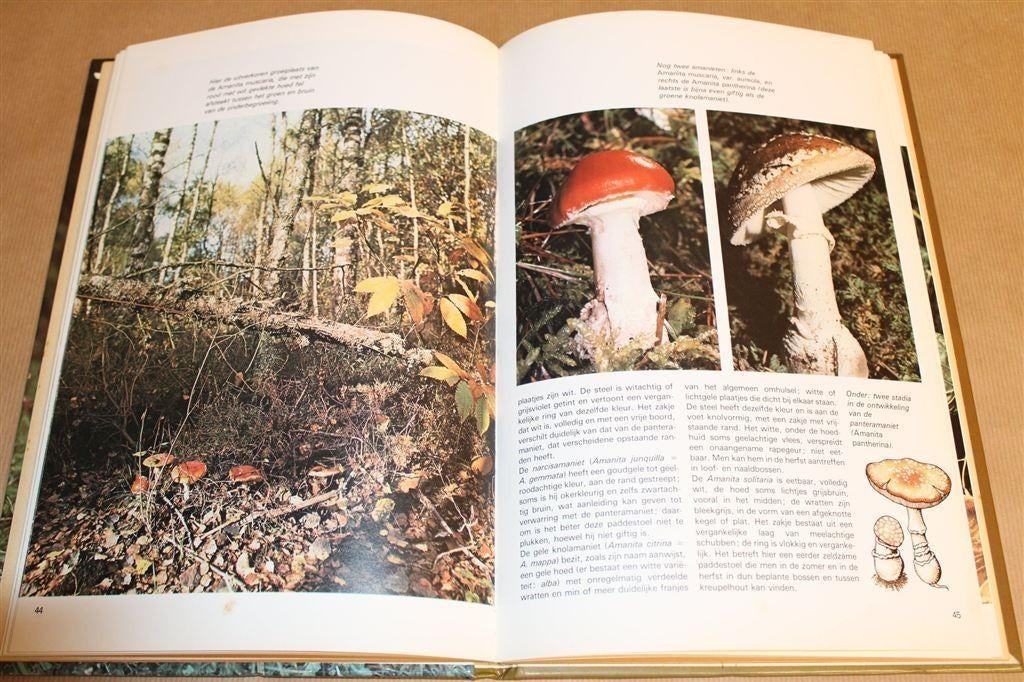 Paddestoelen — Nieuwe Standaard Beeld in Kleur, Ophalen of Verzenden, Gelezen