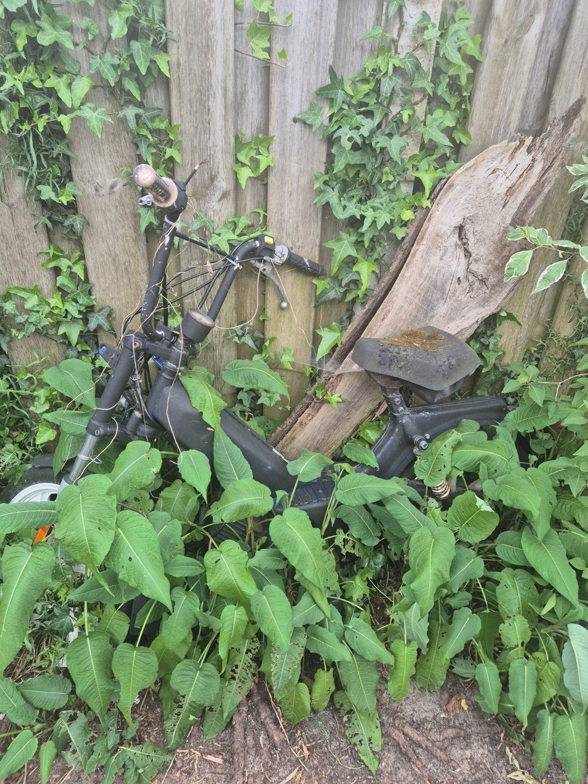 Tomos FR-868-D bromfiets - Opknapper, Ophalen, Gebruikt, Maximaal 45 km/u, Overige modellen