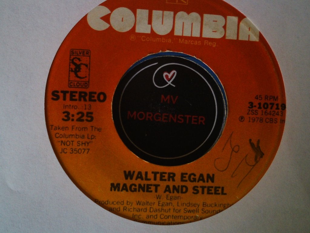 walter egan - magnet and steel 17jul, 7 inch, Ophalen of Verzenden, Zo goed als nieuw, Pop