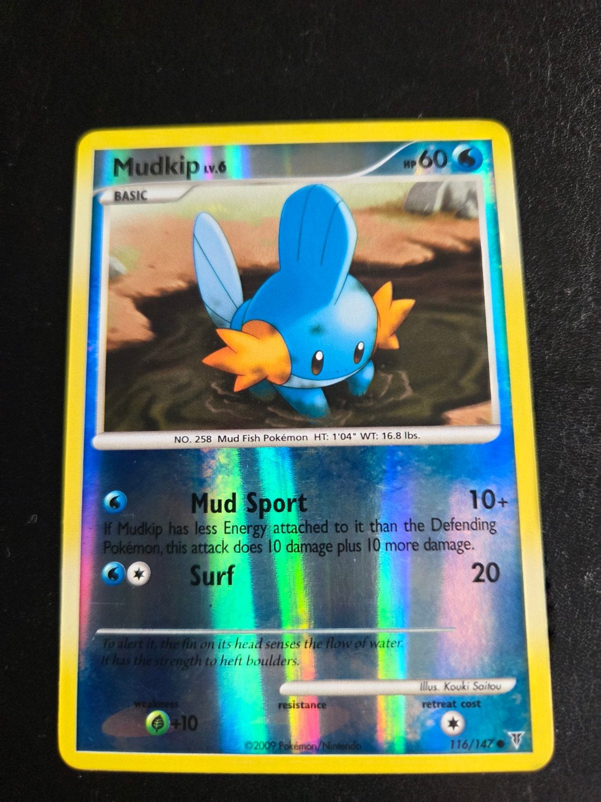 Mudkip Lv.6 Pokémon Kaart - Foil (2009), Ophalen of Verzenden, Foil