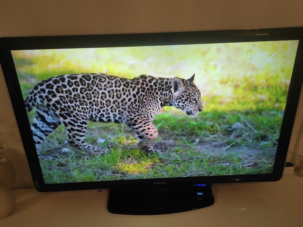 Philips TV - Goede staat 46inch, Audio, Tv en Foto, Televisies, Philips, Gebruikt, 50 Hz, Ophalen of Verzenden