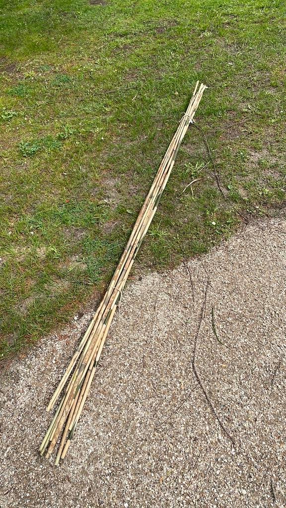 Bamboe 10 stuks 260-270 cm, Ophalen, Zo goed als nieuw, Minder dan 180 cm