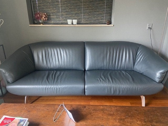 Leolux bank, Huis en Inrichting, Banken | Bankstellen, Ophalen, 250 tot 300 cm, Gebruikt, Tweepersoons