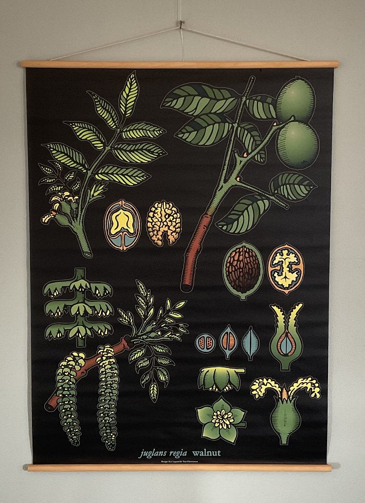 Rolschoolplaat, wandplaat 'Walnoot', IKEA 1999, 120 cm, 90 cm, Zwart, Decoratieobject