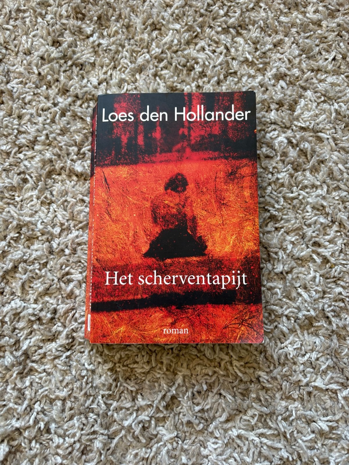 Diverse boeken: romans, thrillers en meer (ook per stuk), Ophalen of Verzenden, Gelezen, Nederland