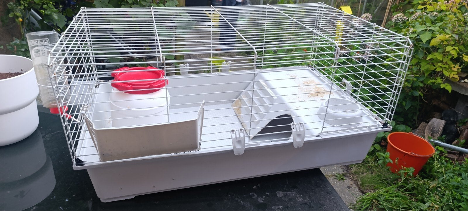 cavia / konijnen hok / kooi, Minder dan 60 cm, Gebruikt, Ophalen of Verzenden, Hok