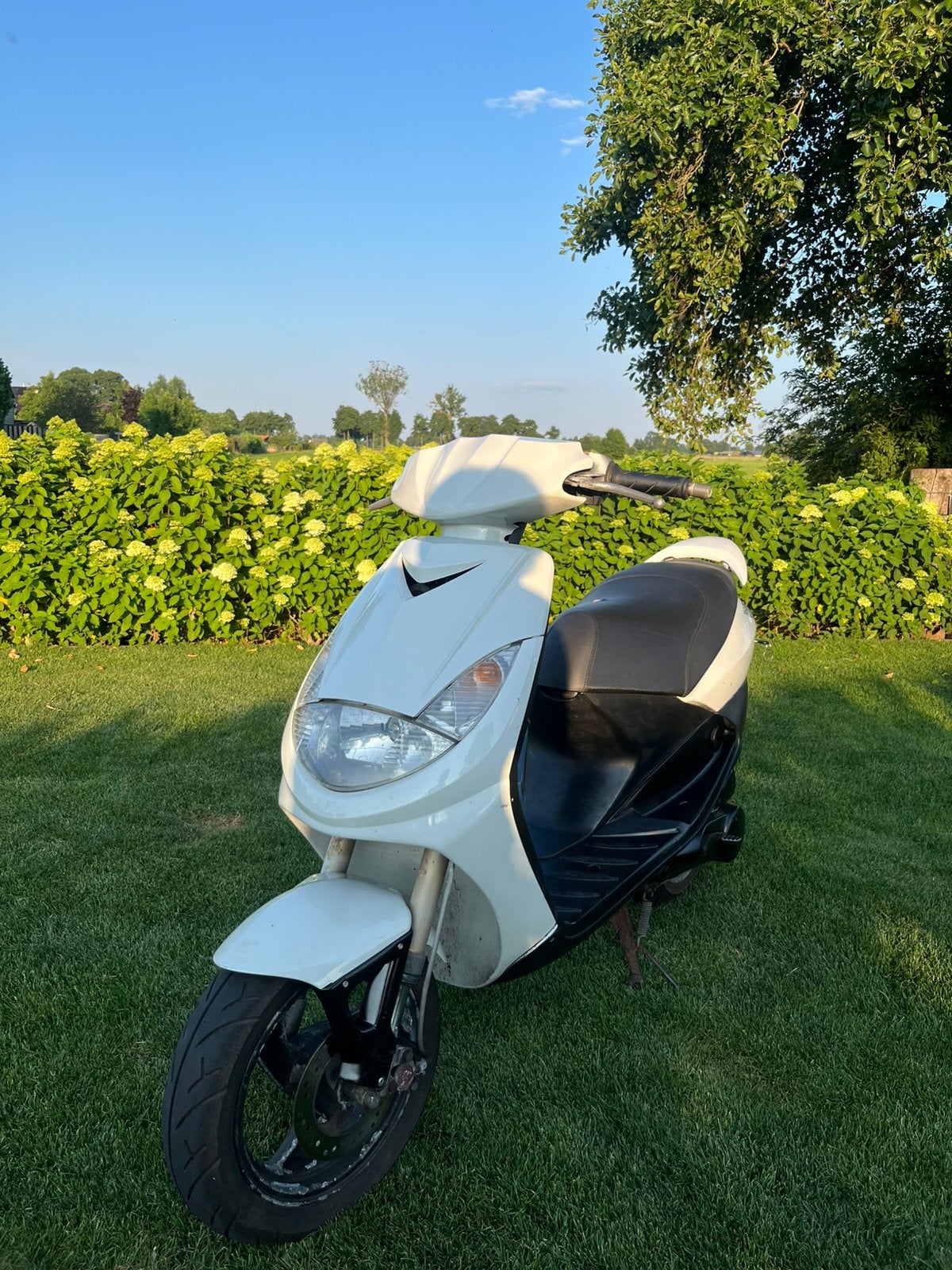 Vivacity 50cc brom, Ophalen, Tweetakt, Maximaal 45 km/u, 49 cc