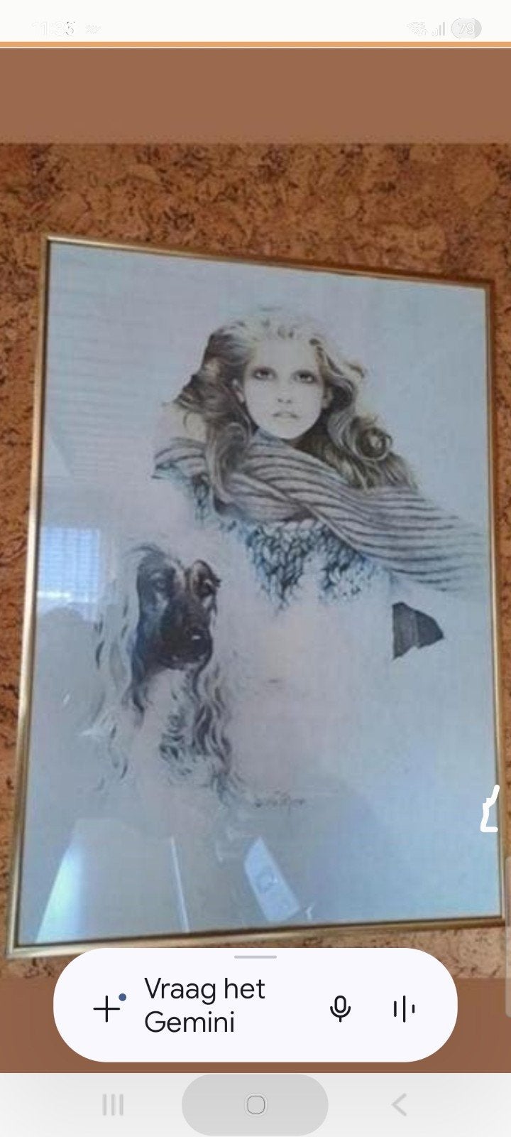 vintage reproductie Sara Moon (goudkl. lijst/B50/H70) (zgan), Ophalen