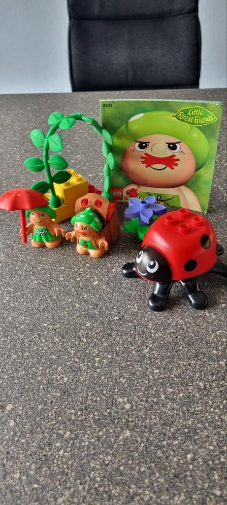 Duplo Little Forest Friends set 2831 met lieveheersbeestje, Compleet, Gebruikt, Overige thema's, Ophalen of Verzenden