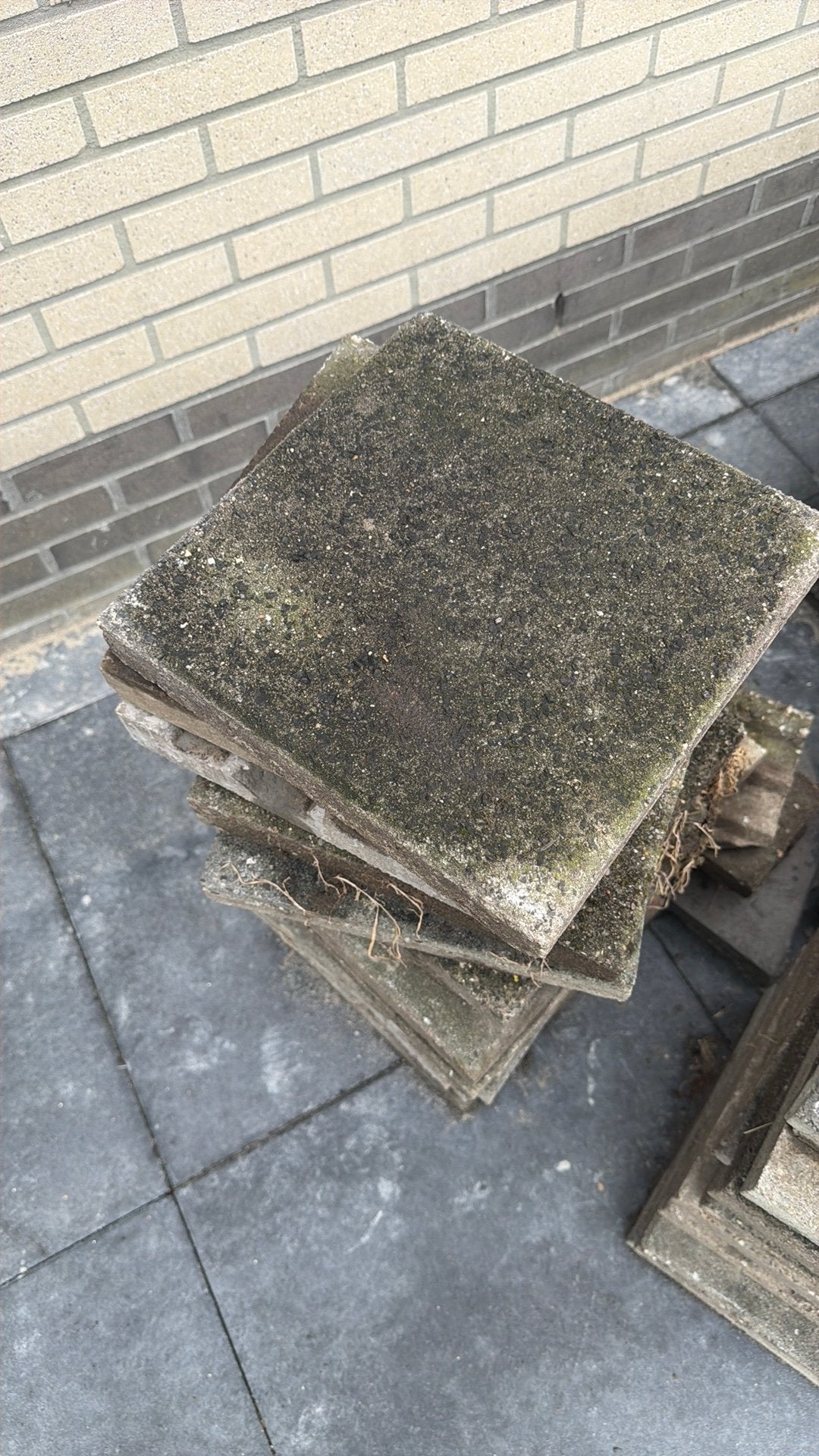 50 tegels 30x30, Tuin en Terras, Tegels en Klinkers, Ophalen, Zo goed als nieuw, Beton, Terrastegels