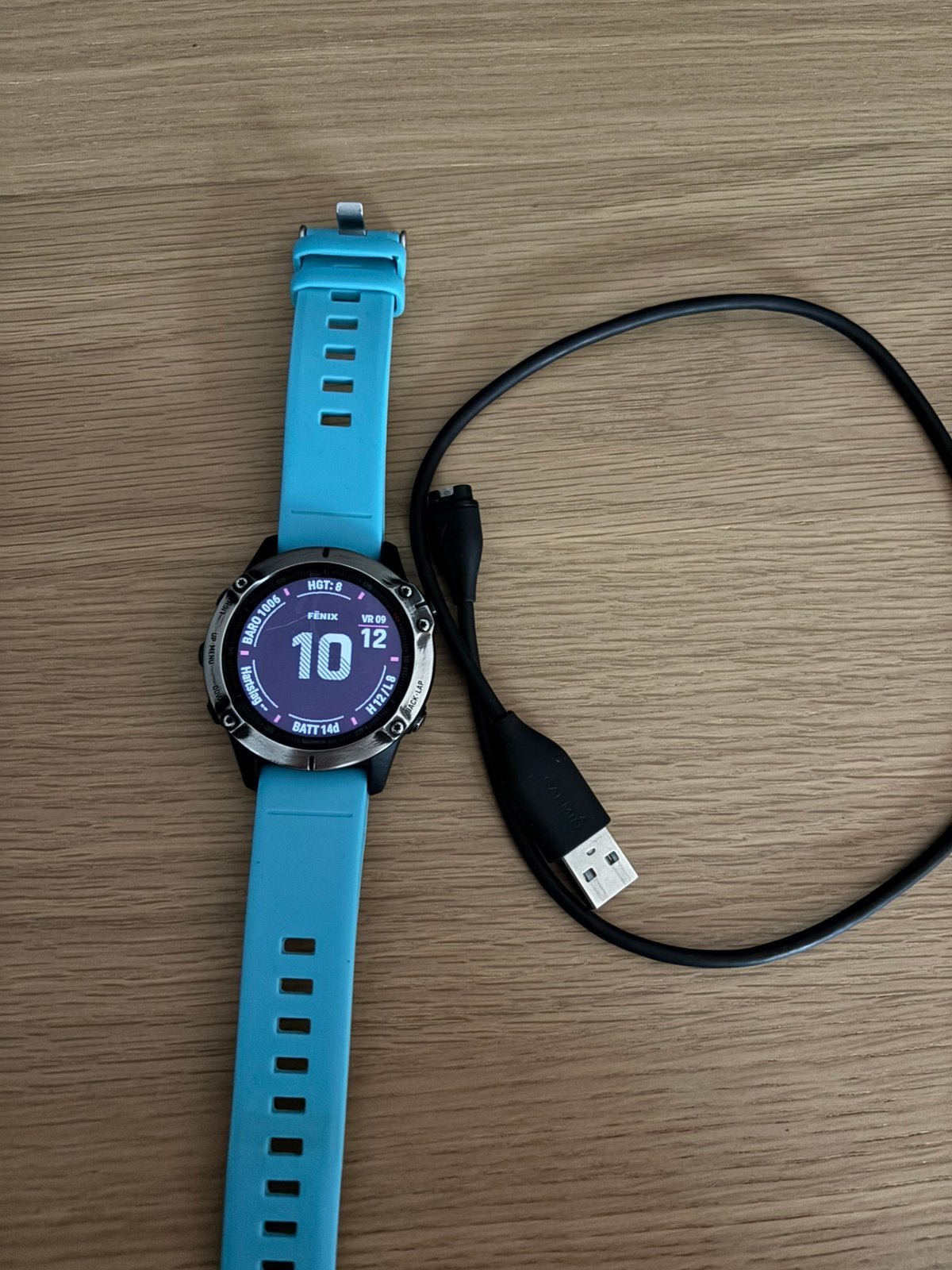 Garmin Fenix 6 Pro, Lichtblauw, Premium Multisport GPS Watch, Sieraden, Tassen en Uiterlijk, Stappen, Zwart, Ophalen of Verzenden