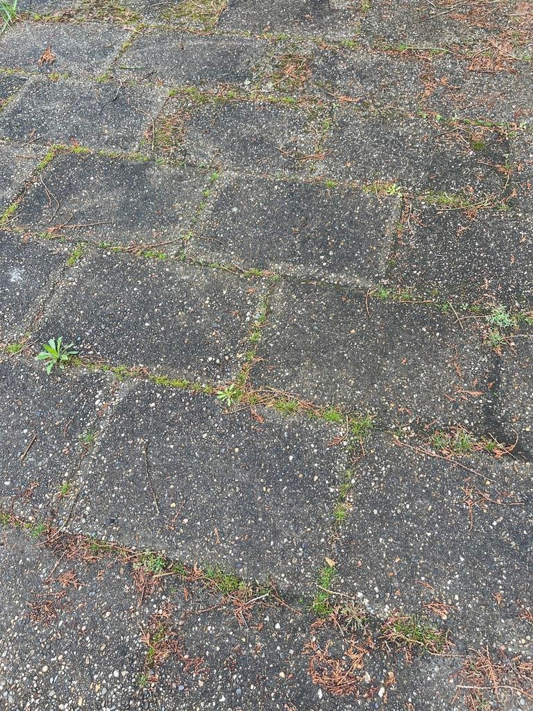 Tegels 40x60cm, Tuin en Terras, Tegels en Klinkers, Ophalen, Gebruikt, Beton, Terrastegels