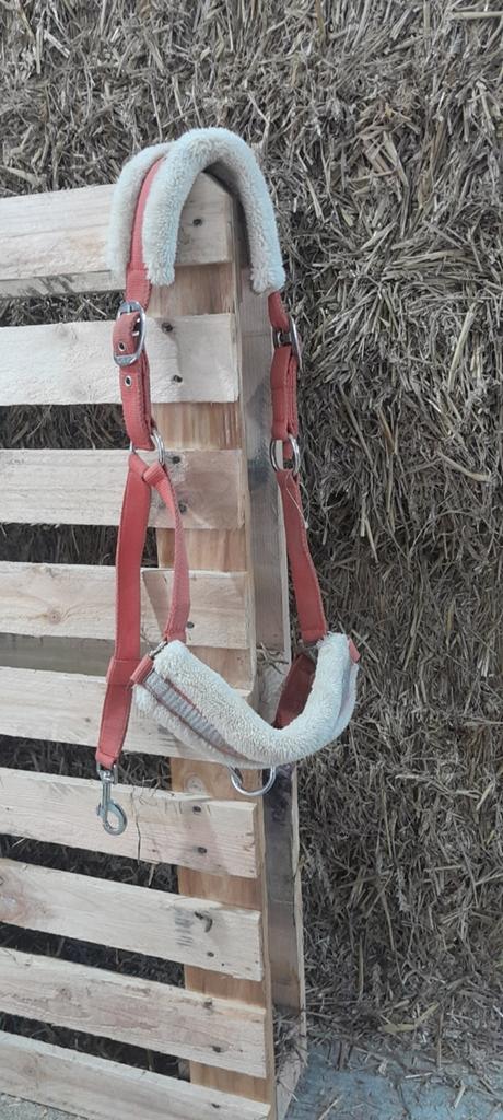 3 halsters, Dieren en Toebehoren, Ophalen of Verzenden, Overige soorten