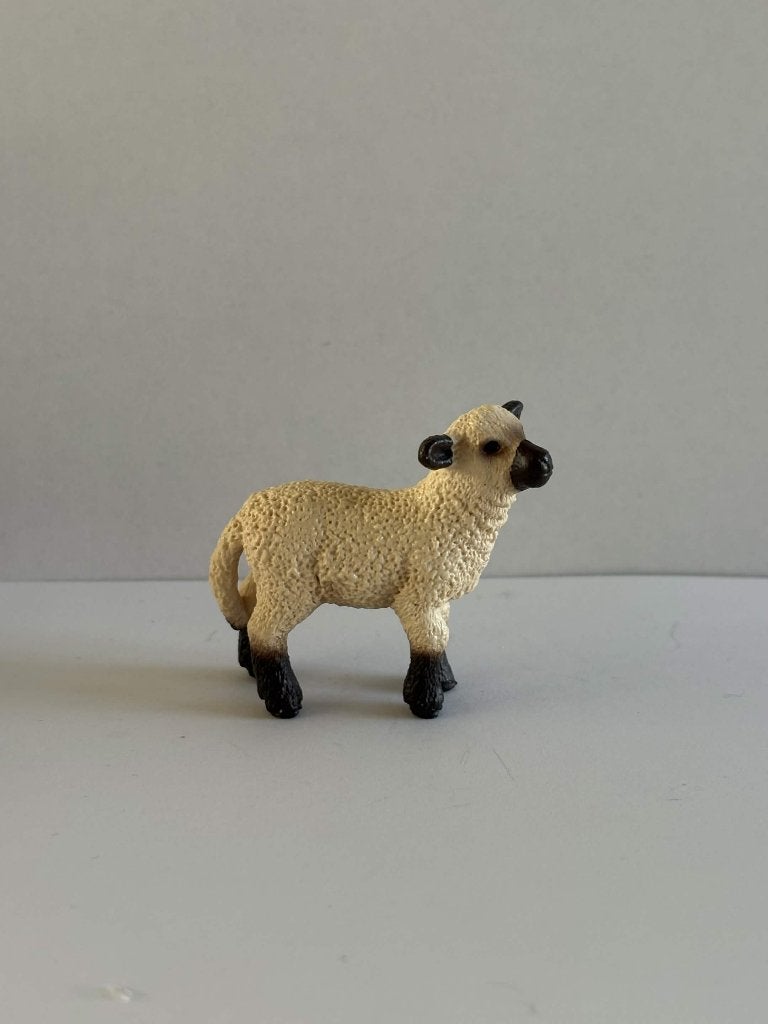 Schleich Lammtje, Ophalen of Verzenden, Gebruikt, Dier