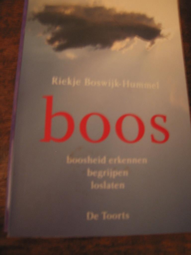 BOOS Riekje Boswijk Hummel, Boeken, Ophalen of Verzenden, Zo goed als nieuw