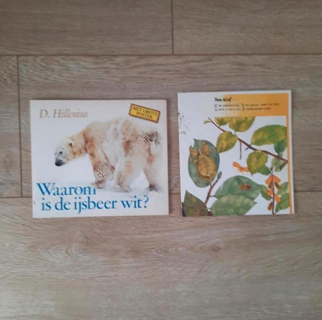 Boekje waarom is de ijsbeer wit? Met poster dierenposter, Ophalen of Verzenden, Zo goed als nieuw