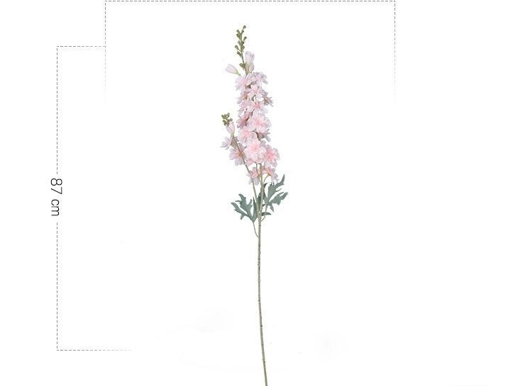 RIDDERSPOOR (DELFHINIUM) ROZE, Ophalen of Verzenden, Nieuw, Overige merken