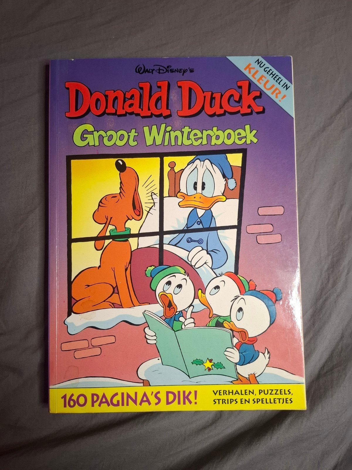 Donald Duck Groot Winterboek 1993 - Nostalgisch Leesplezier, Eén stripboek, Ophalen of Verzenden, Gelezen