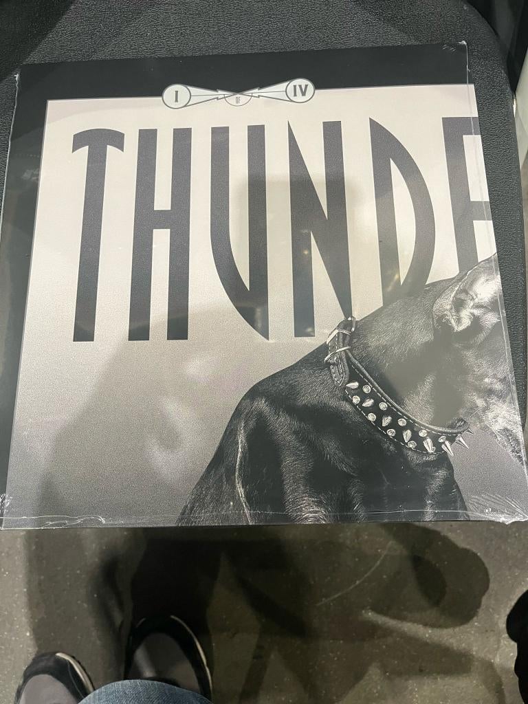 Thunderdome LP nr. 1 uit de serie van 4, Overige genres, 12 inch, Nieuw in verpakking, Inclusief binnenhoes