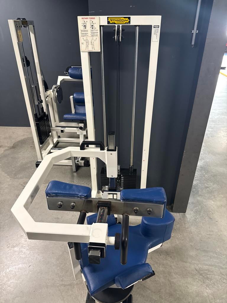 Technogym Rotary Torso - Professionele Buikspiertrainer, Ophalen, Gebruikt, Buik, Overige typen