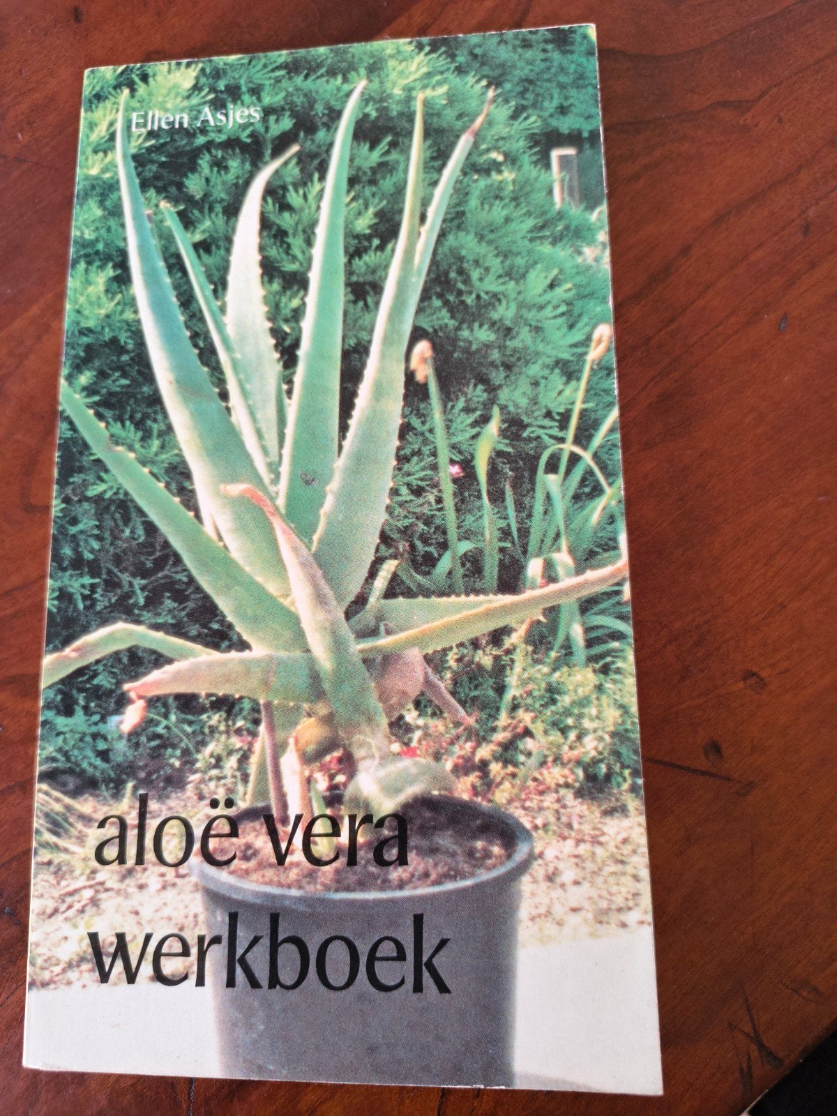 Aloë Vera Werkboek - Ellen Asjes, Boeken, Ophalen of Verzenden, Zo goed als nieuw, Ellen Asjes