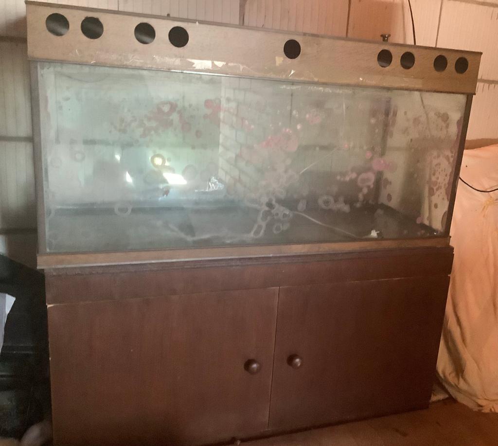 Aquarium 100x40x40, Ophalen, Gebruikt, Leeg aquarium
