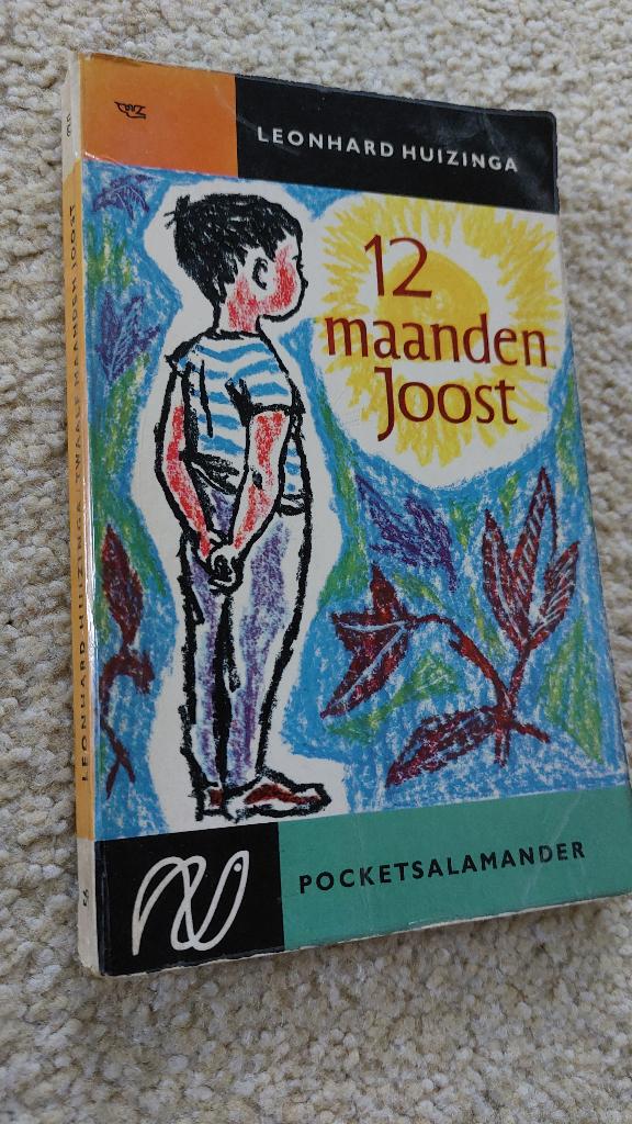 12 Maanden Joost - Leonhard Huizinga (Pocketsalamander), Boeken, Romans, Gelezen, Nederland, Ophalen of Verzenden