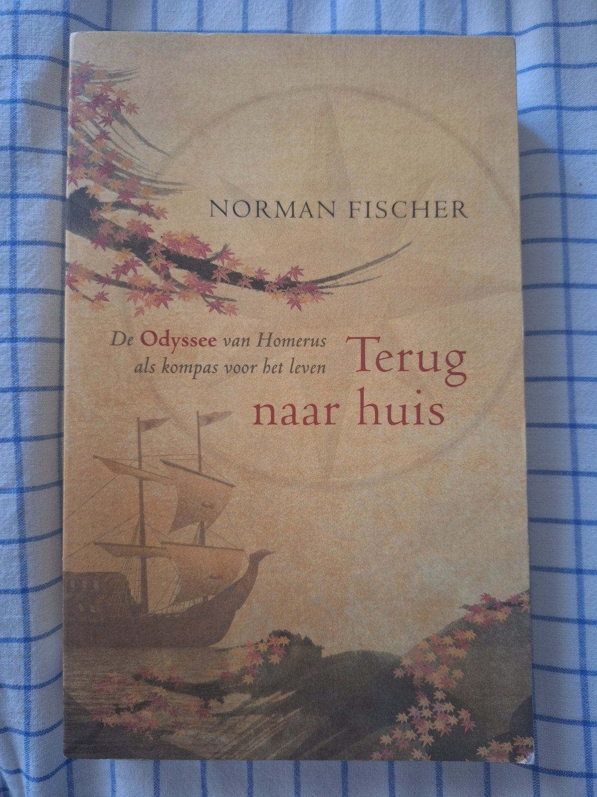 N. Fischer - Terug naar huis, Achtergrond en Informatie, Spiritualiteit algemeen, Ophalen of Verzenden, Zo goed als nieuw