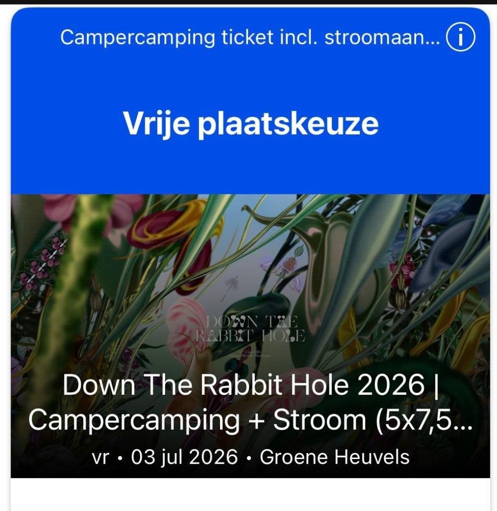 1 Camper ticket+Stroom en 2 kaartjes - Down The Rabbit Hole, Twee personen, Meerdaags