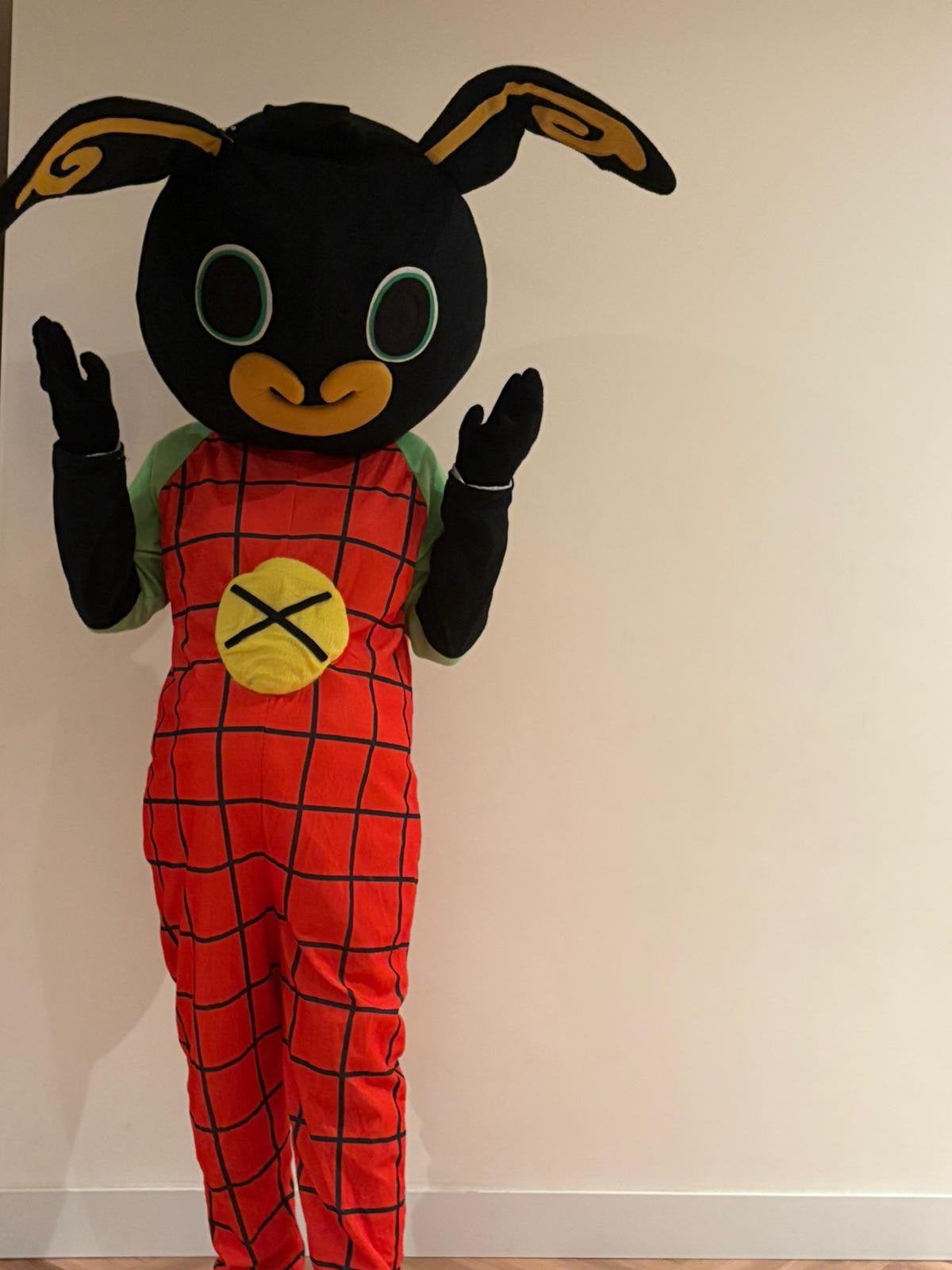 Mascotte bing, Ophalen, Zo goed als nieuw, Verjaardag