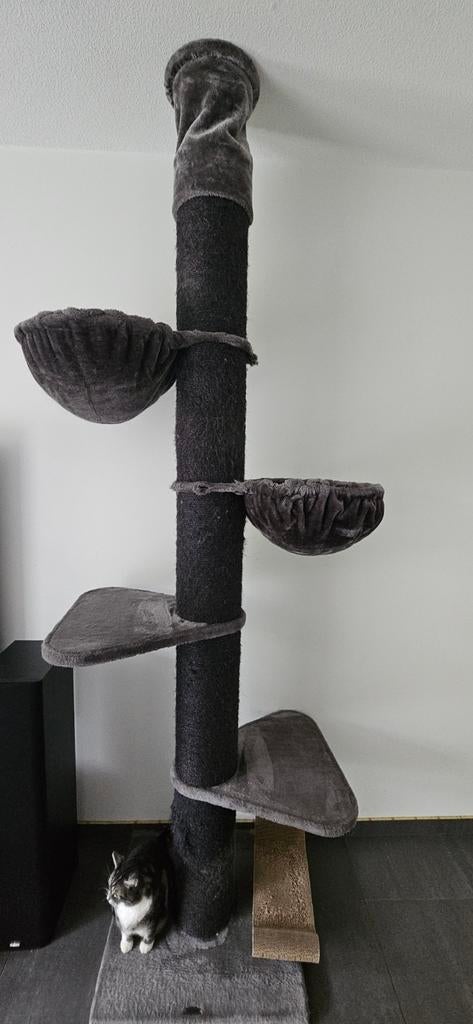 RHR Quality / RHR Pets, Krabpaal Maine Coon Tower , Ophalen, Gebruikt, Krabpaal