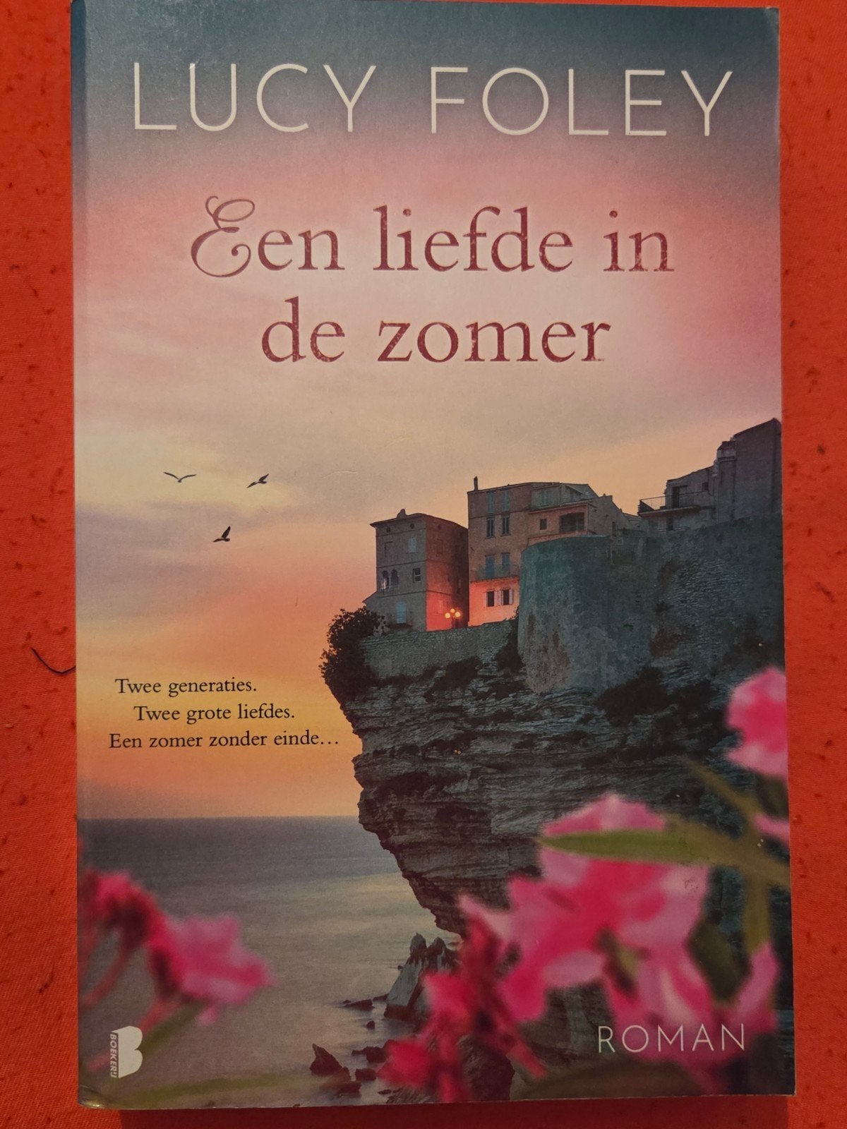 Een liefde in de zomer, Lucy Foley , gelezen, Boeken, Ophalen of Verzenden, Gelezen