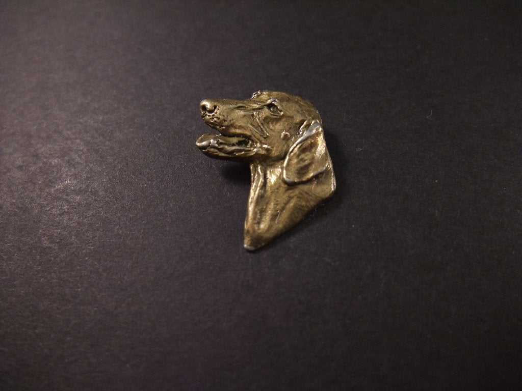 Duitse staander (korthaar) goudkleurige pin, Ophalen of Verzenden, Gebruikt, Overige onderwerpen