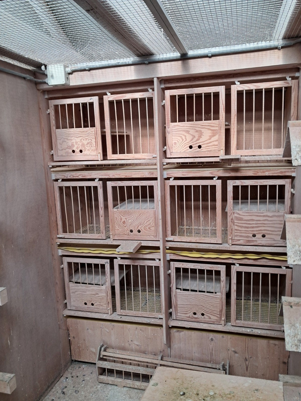 broedbakken, Dieren en Toebehoren, Ophalen of Verzenden