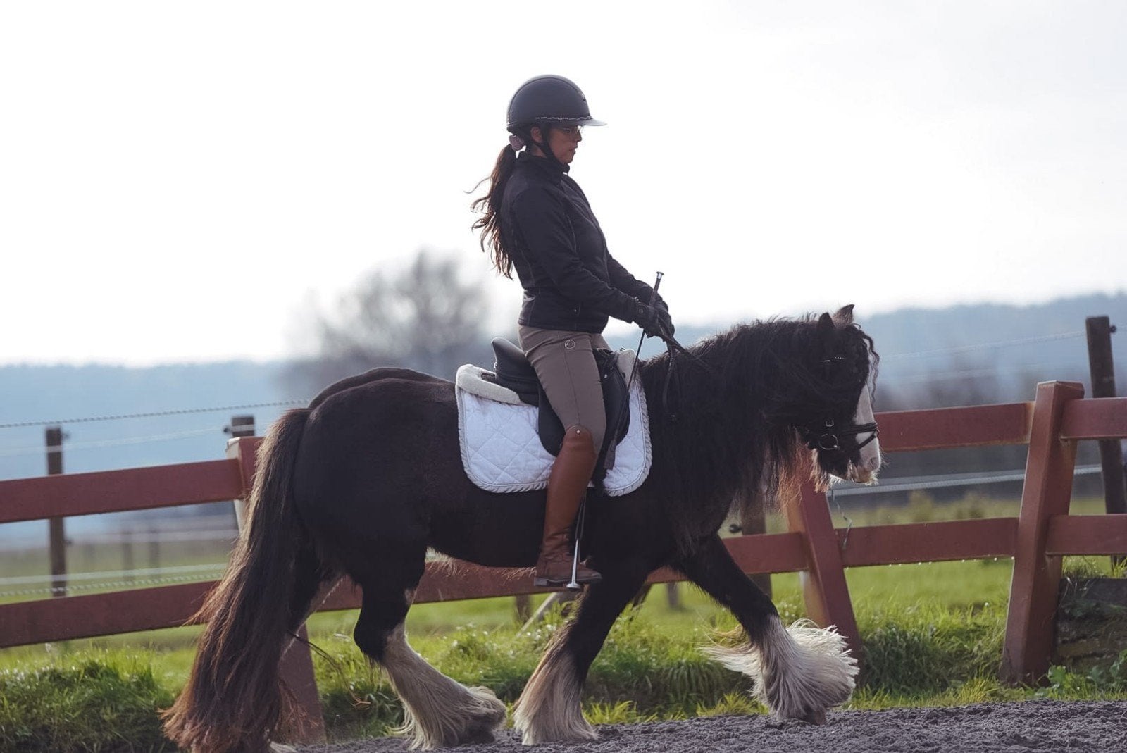 Prachtige lieve 7-jarige mini-tinker merrie, Dieren en Toebehoren, Merrie, C pony (1.27m tot 1.37m), 7 tot 10 jaar, Recreatiepony