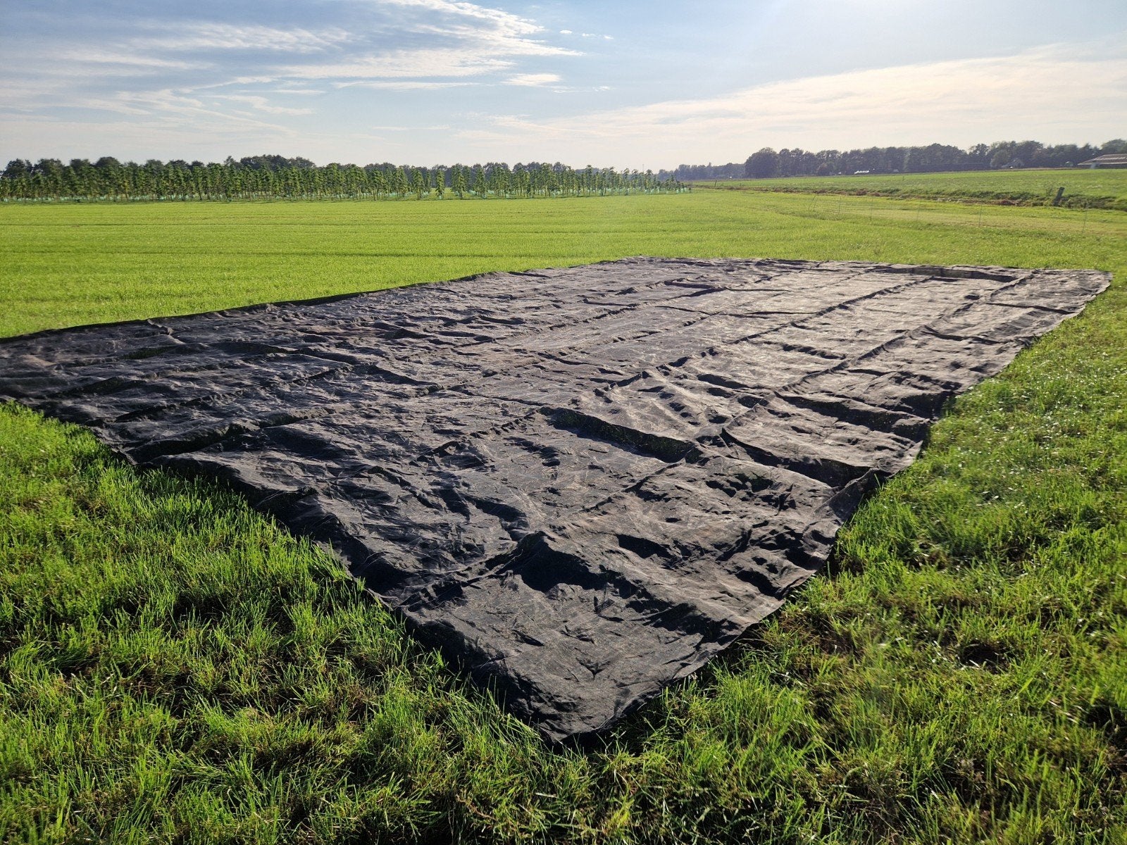 Kuilkleed, Dieren en Toebehoren