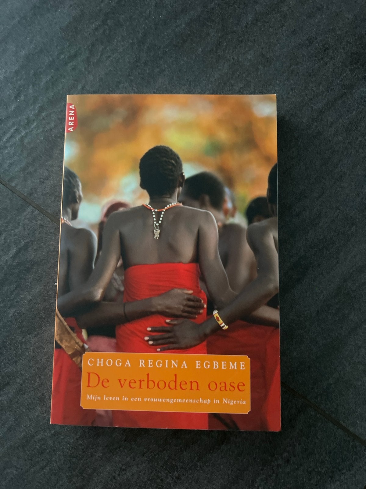 De verboden oase - Choga Regina Egbeme, Boeken, Ophalen of Verzenden, Gelezen, Wereld overig