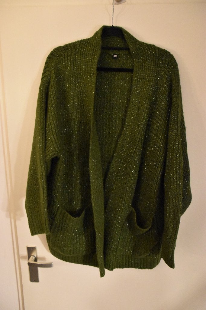 mooi zgan groen vest maat L Hema, Maat 42/44 (L), Ophalen of Verzenden, Zo goed als nieuw, Hema