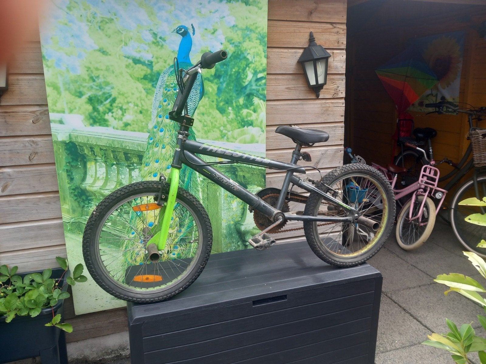 sparta Freestyle BMX Fiets - Gebruikt, 20 inch, Ophalen, Staal, Voetsteunen, 16 tot 20 inch
