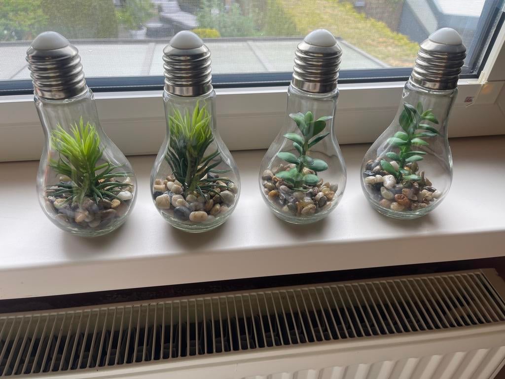 Set van 4 kunstplantjes in gloeilampen, Huis en Inrichting, Ophalen, Zo goed als nieuw
