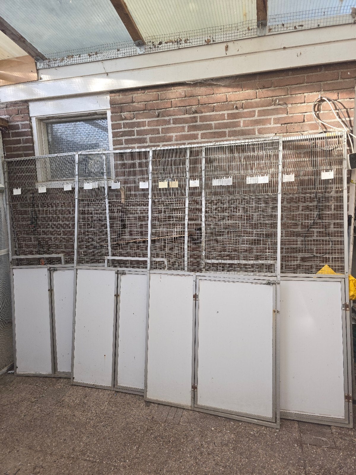 volière 100x200cm met duren, Ophalen of Verzenden