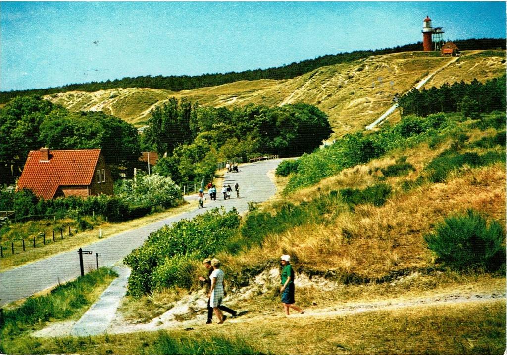 Ansichtkaart Vlieland, Bos, duin en vuurtoren, Ophalen of Verzenden, 1960 tot 1980, Ongelopen, Waddeneilanden