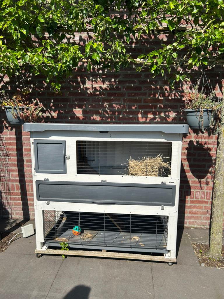 Ferplast konijnenhok, Ophalen, 90 cm of meer, Hok, Konijn