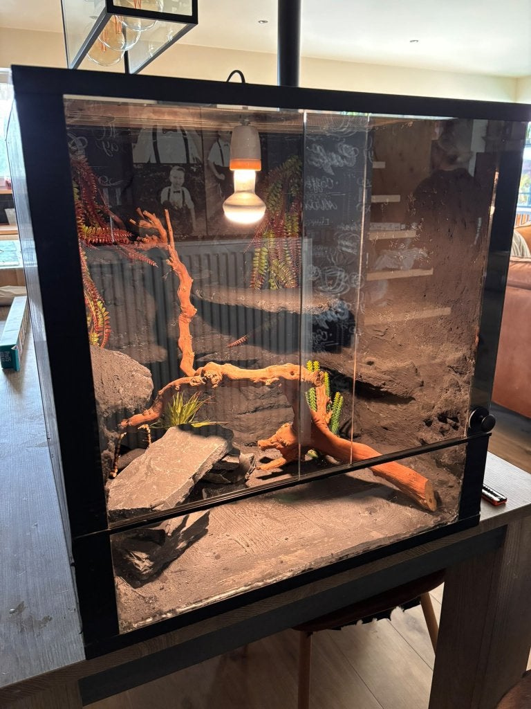 Gerenoveerde Terrarium 60x60x60, Ophalen of Verzenden, Nieuw, Terrarium of Paludarium