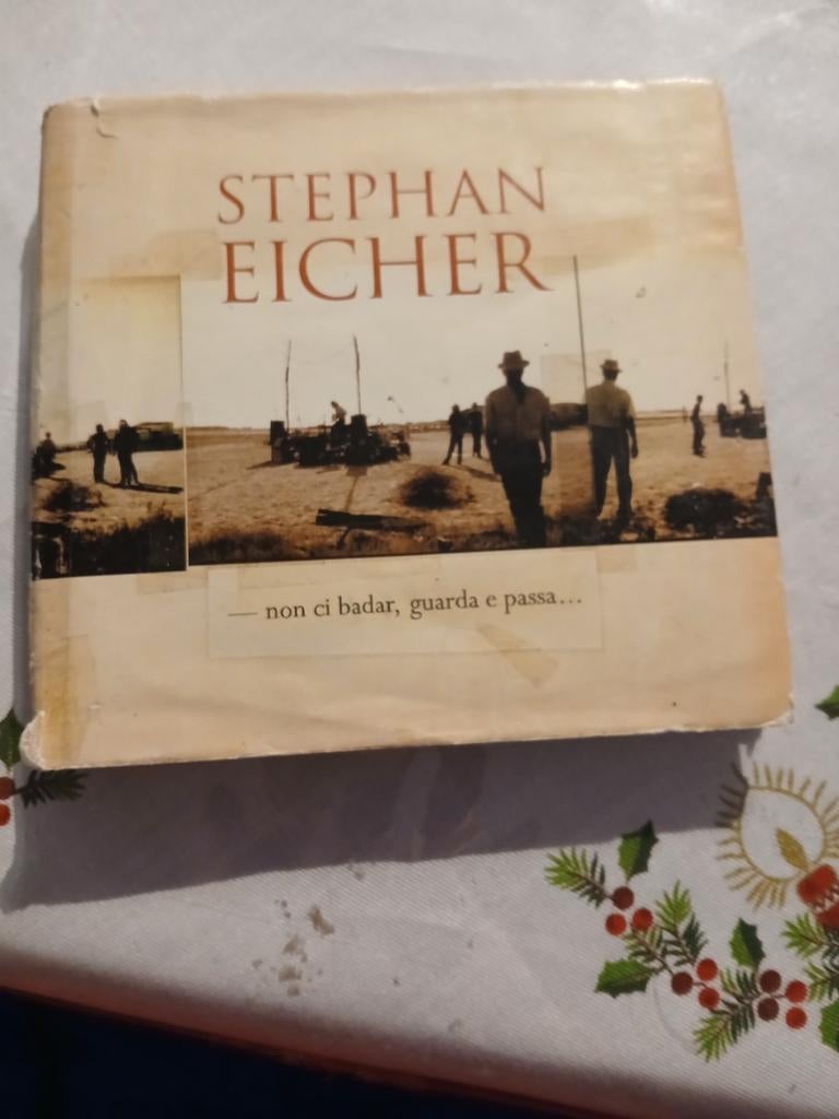 Stephan Eicher - Zeldzaam Boek cd, Boeken, Ophalen of Verzenden, Gelezen, Stephan Eicher, Europa overig