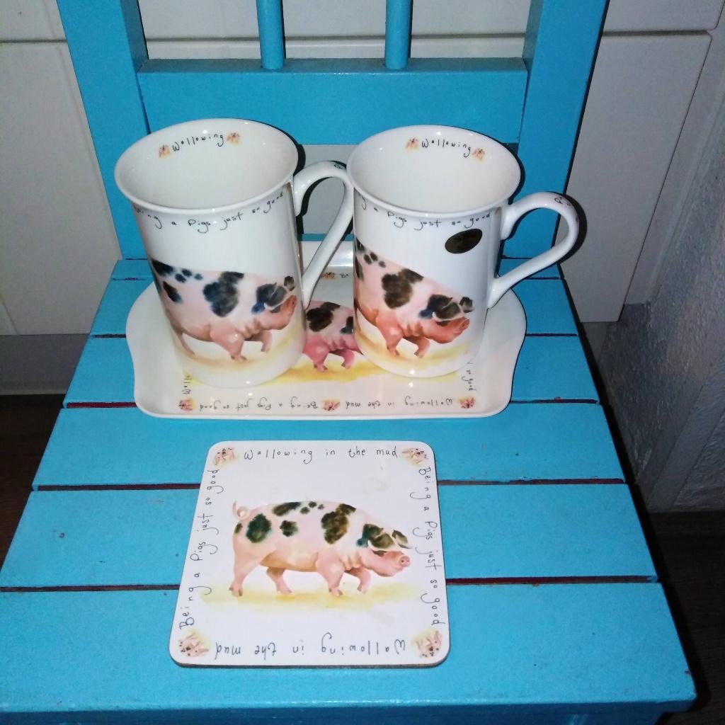 Leonardo Farmyard Collection being a pig/varken, Ophalen, Overige materialen, Overige typen, Zo goed als nieuw