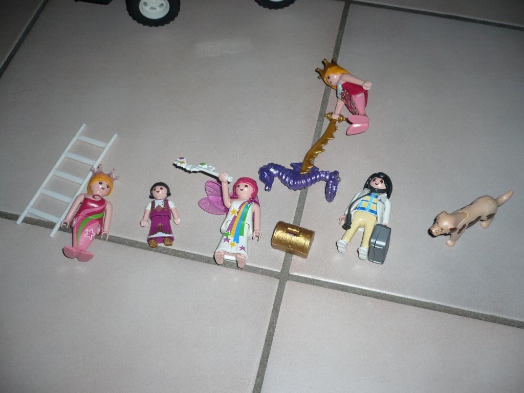Div. playmobil zeepaardje elfje dierenarts zeemeermin ZGAN, Ophalen of Verzenden, Zo goed als nieuw, Complete set