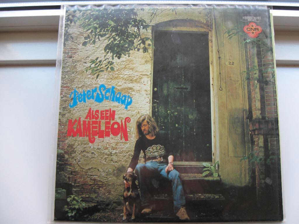 Peter Schaap, Cd's en Dvd's, Vinyl | Nederlandstalig, Ophalen of Verzenden, Zo goed als nieuw, 12 inch, Pop