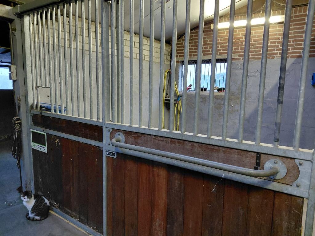 paardenboxen, corton zware uitvoering