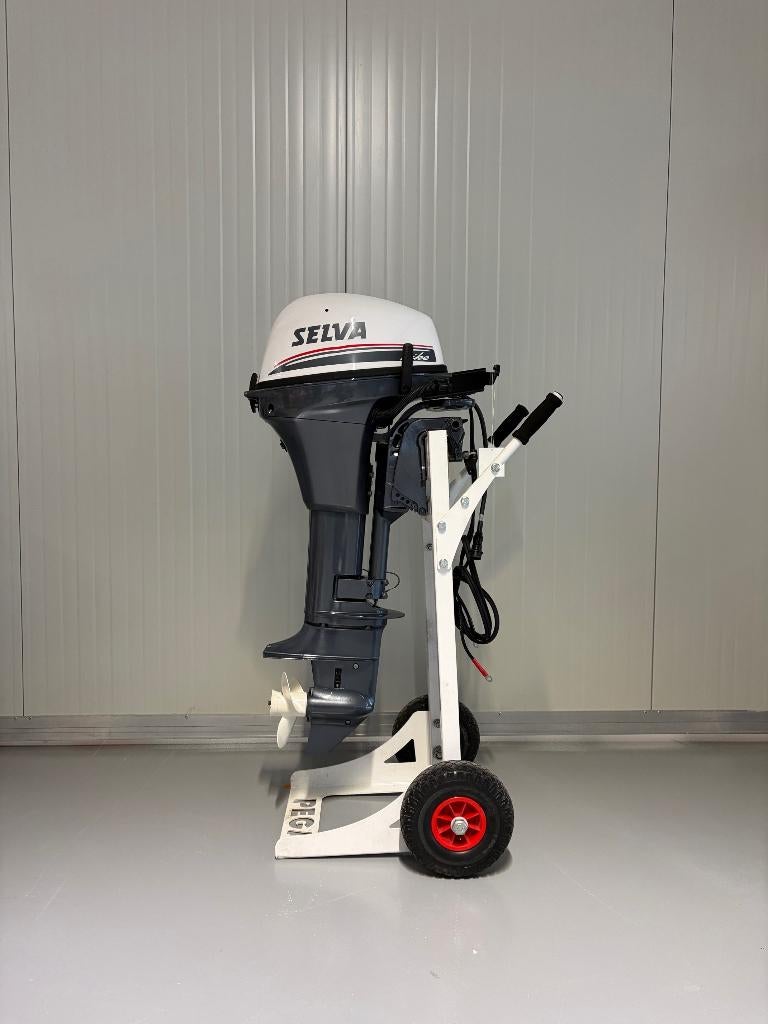Actie prijs! I Selva F9.9JEL Pike I Overjarig nieuw in doos!, Watersport en Boten, Buiten- en Binnenboordmotoren, Ophalen, 5 tot 10 pk